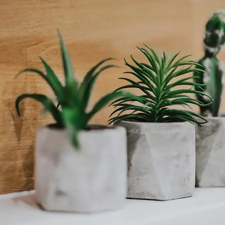 Mia شقة كراكوفيا