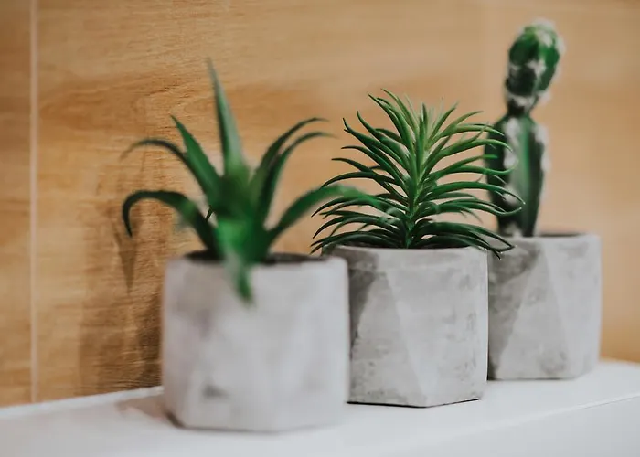 Mia Apartamento Cracóvia